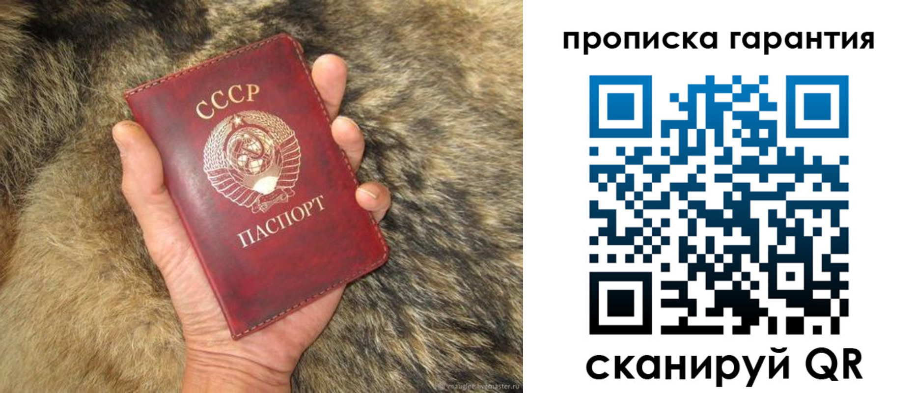 прописка паспорт в Кашине